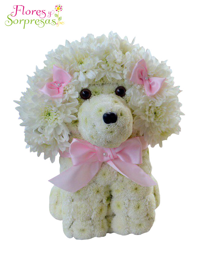 Cachorrita Lili AR565